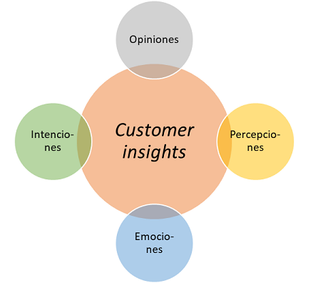 Customer Insights